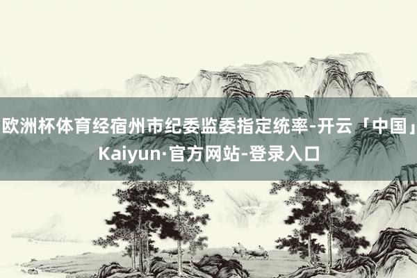 欧洲杯体育经宿州市纪委监委指定统率-开云「中国」Kaiyun·官方网站-登录入口