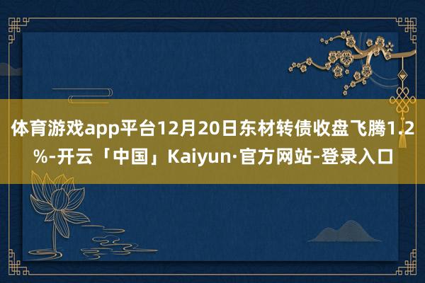 体育游戏app平台12月20日东材转债收盘飞腾1.2%-开云「中国」Kaiyun·官方网站-登录入口