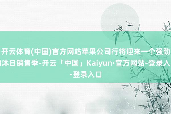 开云体育(中国)官方网站苹果公司行将迎来一个强劲的沐日销售季-开云「中国」Kaiyun·官方网站-登录入口