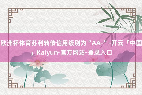 欧洲杯体育苏利转债信用级别为“AA-”-开云「中国」Kaiyun·官方网站-登录入口