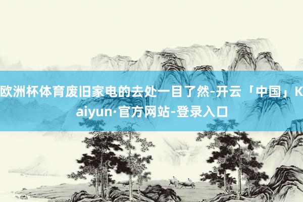 欧洲杯体育废旧家电的去处一目了然-开云「中国」Kaiyun·官方网站-登录入口