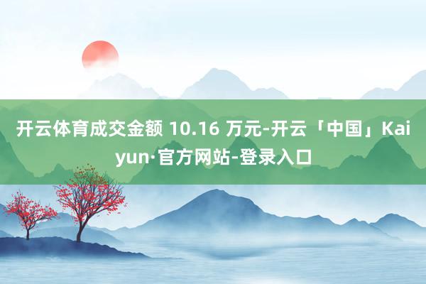 开云体育成交金额 10.16 万元-开云「中国」Kaiyun·官方网站-登录入口