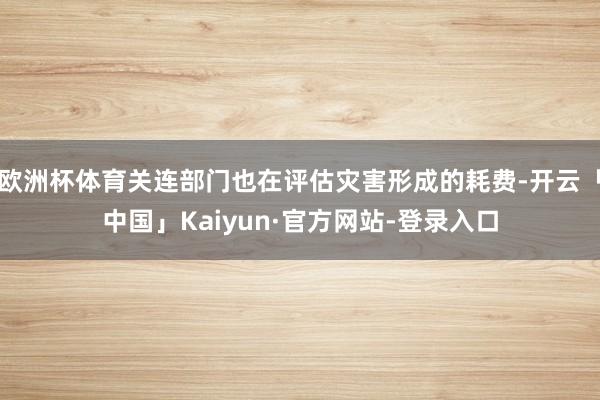 欧洲杯体育关连部门也在评估灾害形成的耗费-开云「中国」Kaiyun·官方网站-登录入口