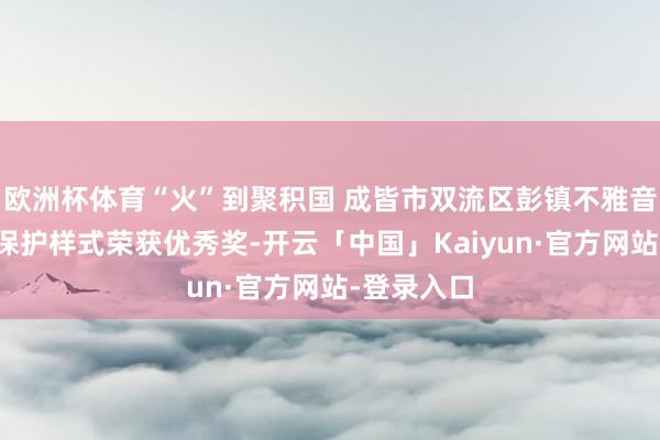 欧洲杯体育“火”到聚积国 成皆市双流区彭镇不雅音阁老茶楼保护样式荣获优秀奖-开云「中国」Kaiyun·官方网站-登录入口